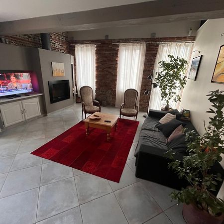 Magnifique Maison Toulousaine Τουλούζη Εξωτερικό φωτογραφία